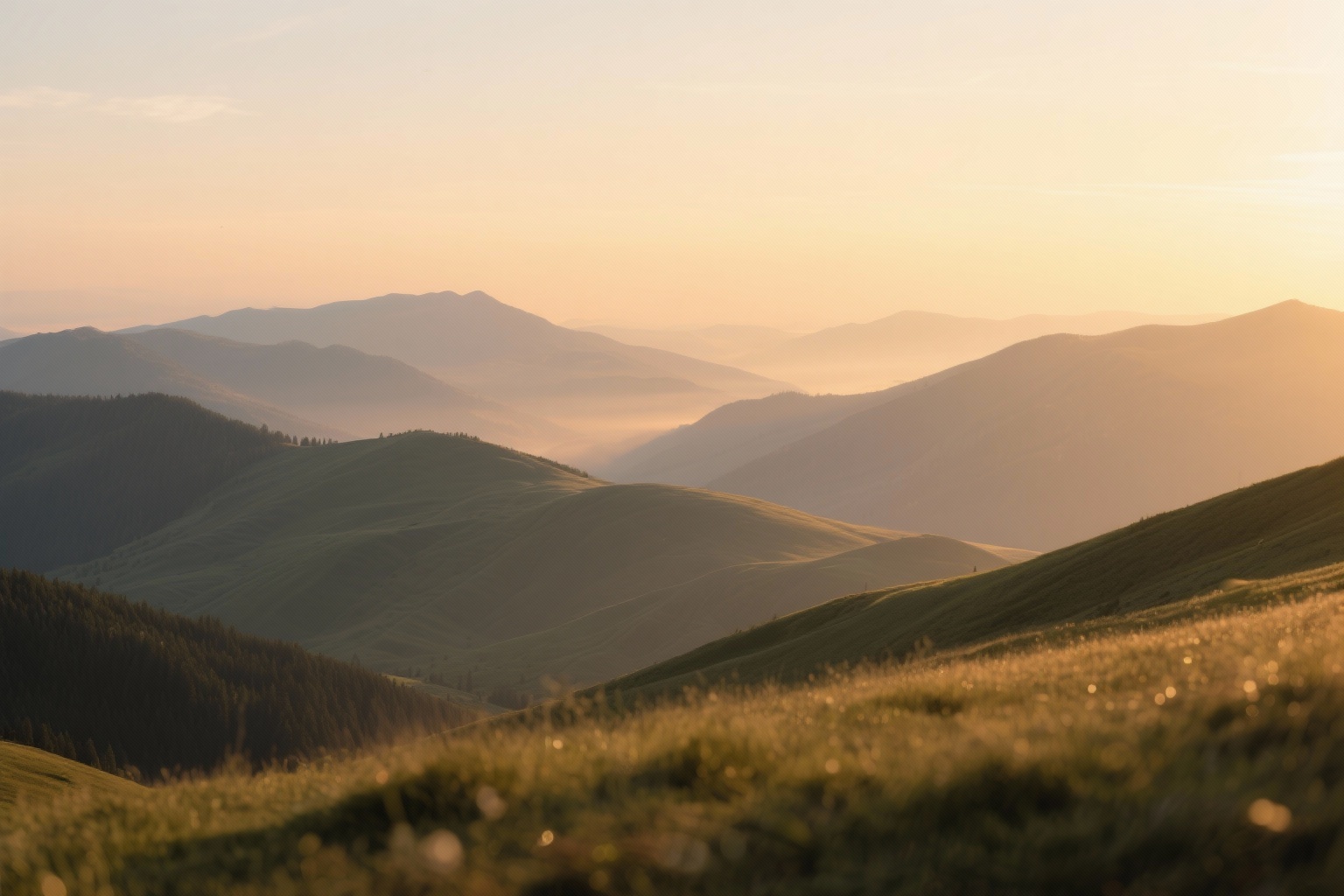 Alam untuk relaksasi mata